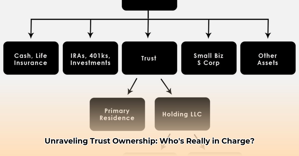 who-owns-a-trust
